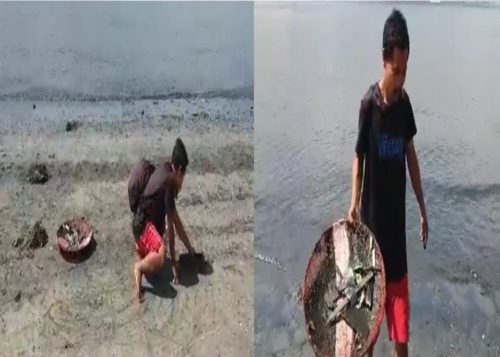 Hard-Working Volunteer