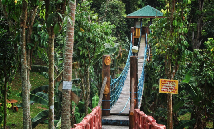 Maculot View Resort