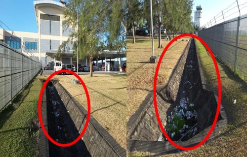 Disappointed Netizen