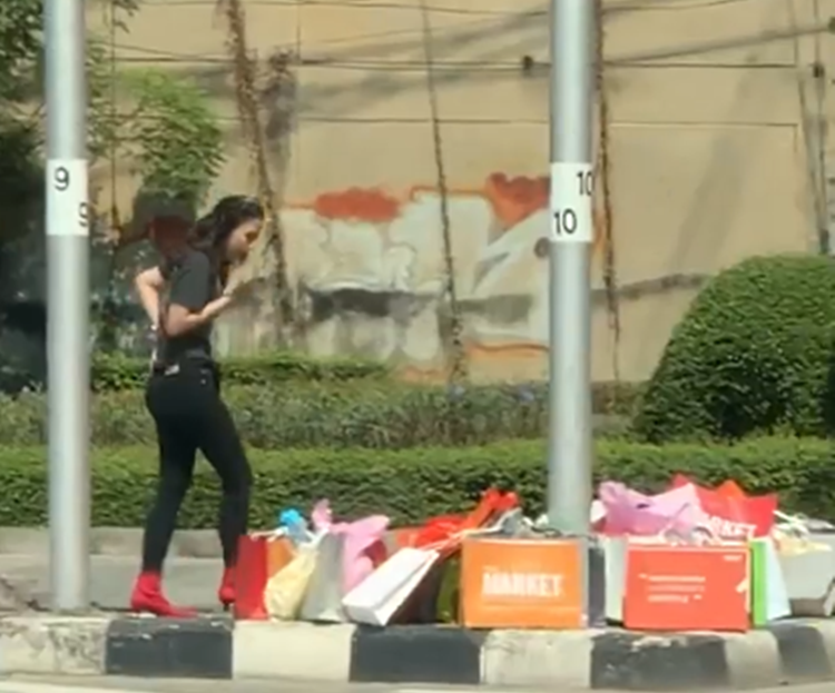 Lady Shopper
