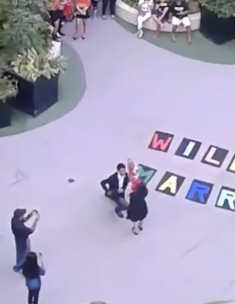 Romantic Wedding Proposal