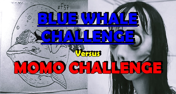 BLUE WHALE CHALLENGE: Is It Related To Momo Challenge?