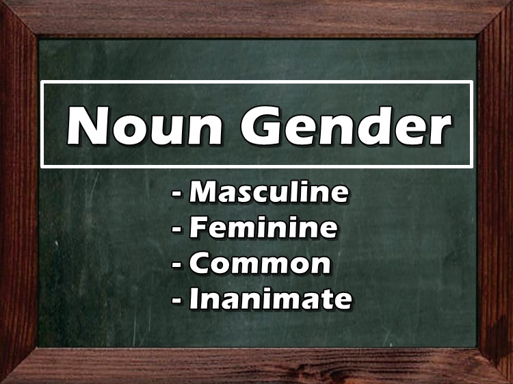 Noun Gender