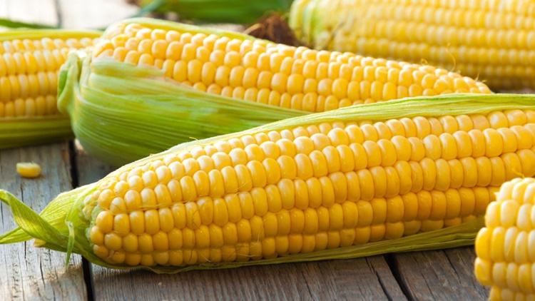 Summer Food
