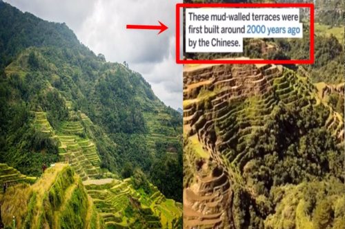 Banaue Rice Terraces