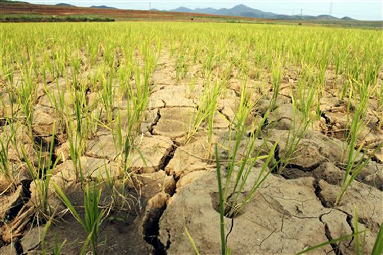 Drought Expected To Hit Metro Manila & 16 Provinces Next Month
