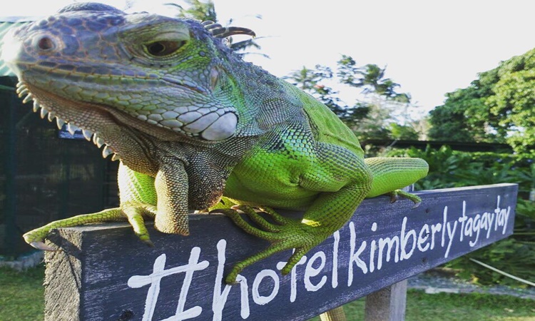 Hotel Kimberly