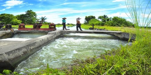 IRRIGATION