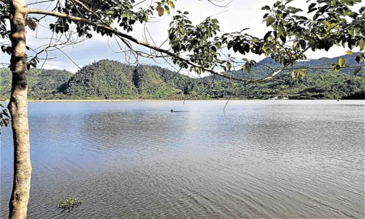 Mindanao Golden Valley 1