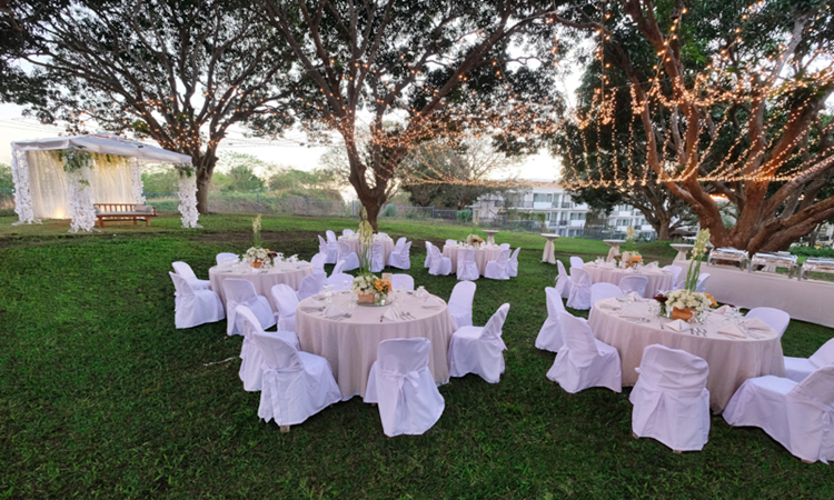 Pontefino Hotels