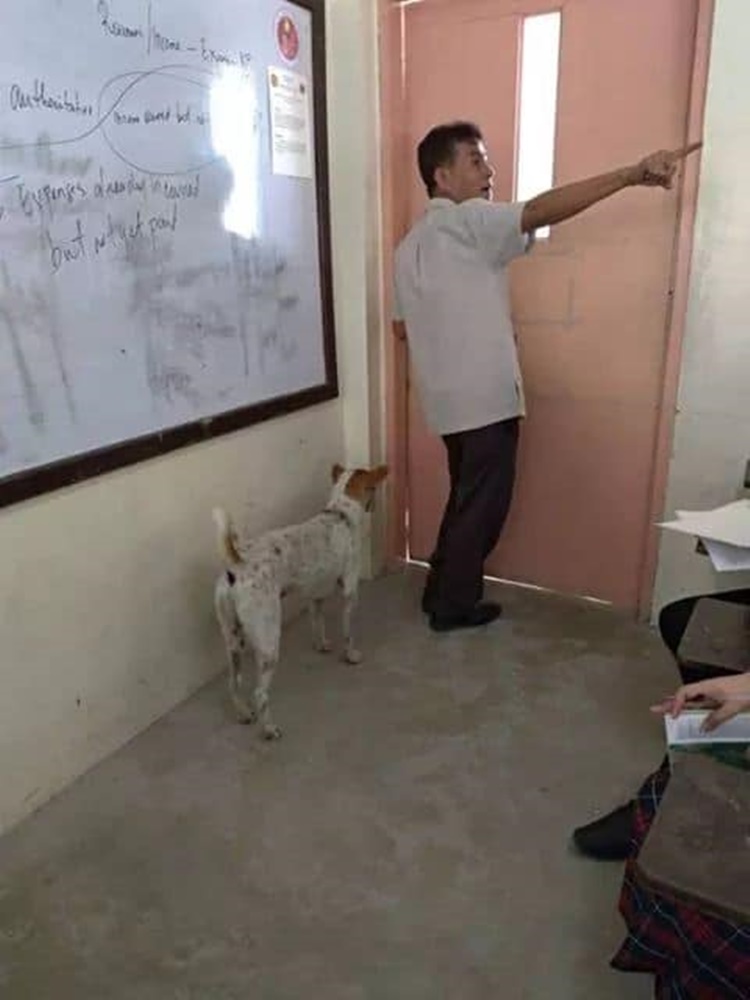 Heartbreaking Story