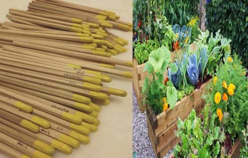 Plantable Pencils