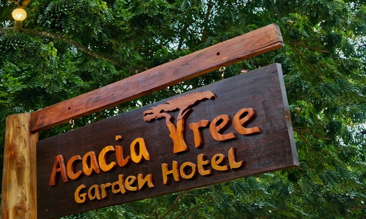 Acacia Tree Garden