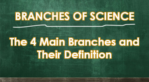 Branches Of Science The 4 Main Branches And Their Definition 8473