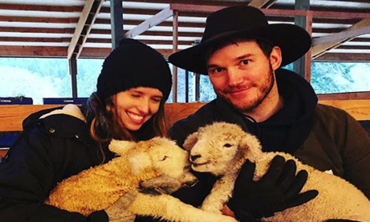 chris pratt