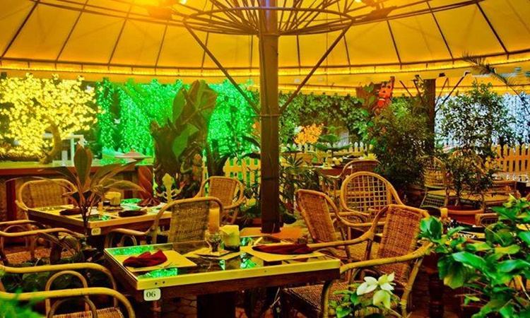 Deep Forest Garden