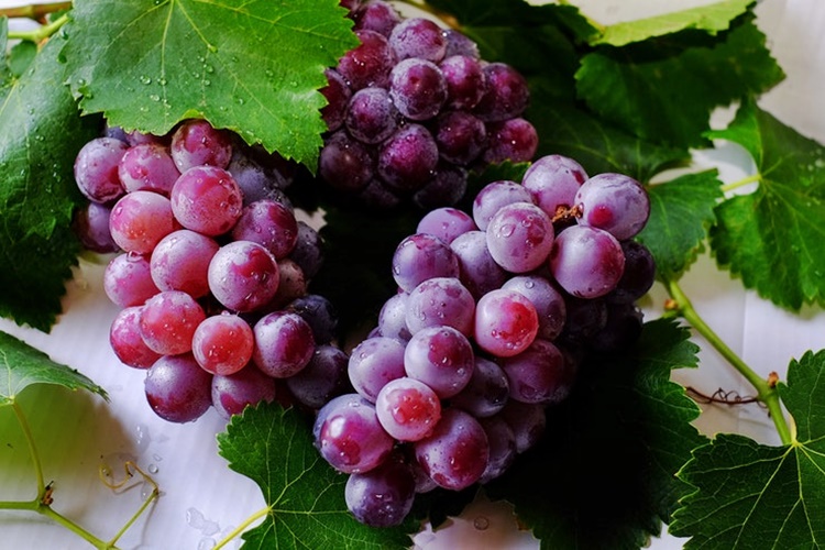 Grapes