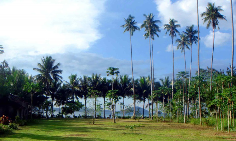 Kahamut-an