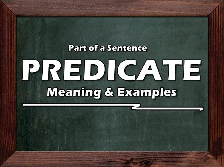 predicate-meaning-of-predicate-in-sentence-its-examples