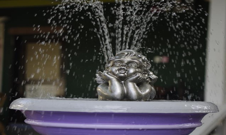 Purple Fountain Inn
