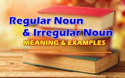 Regular Noun & Irregular Noun
