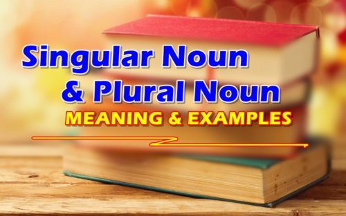 Singular Noun & Plural Noun