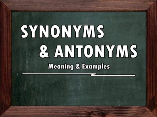 Synonyms & Antonyms