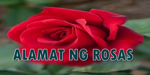 Alamat ng Rosas