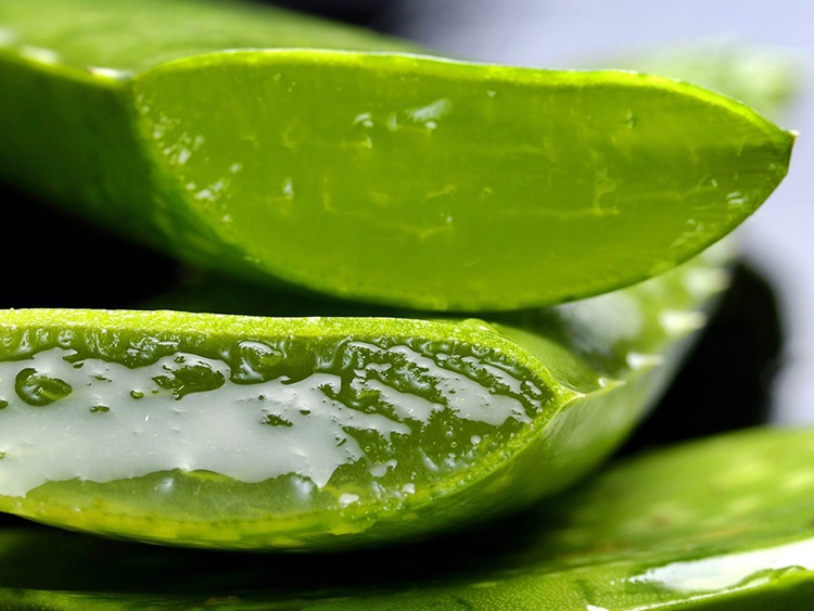 Aloe Vera Gel