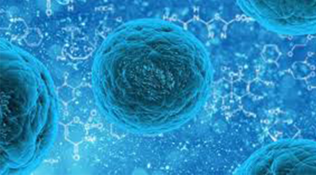 CELL THEORY