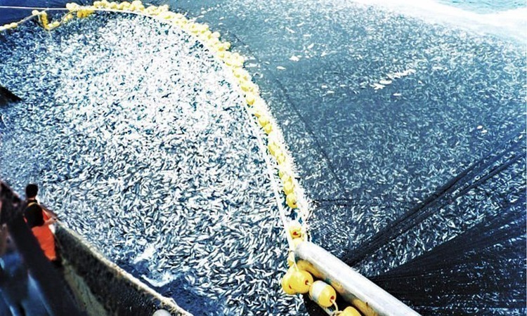 Illegal-Fishing