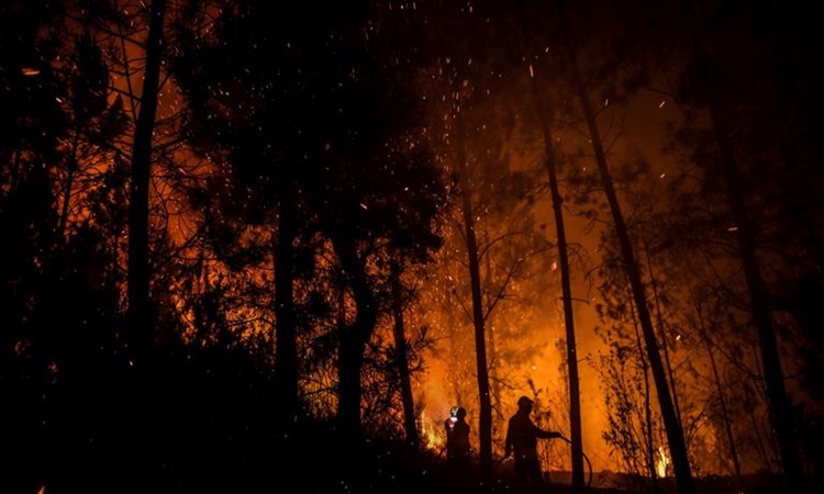 Portugal-wildfire-1