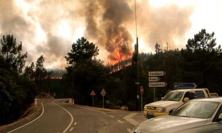 Portugal-wildfire-2