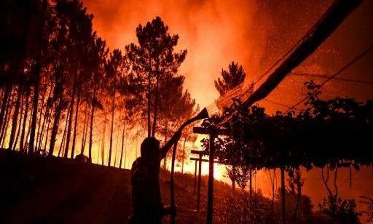 Portugal_wildfire