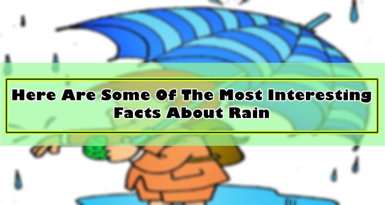 Rain Facts: Here Are Some Of The Most Interesting Facts About Rain