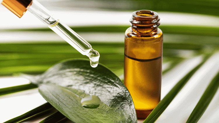 Tea Tree Oil Benefits