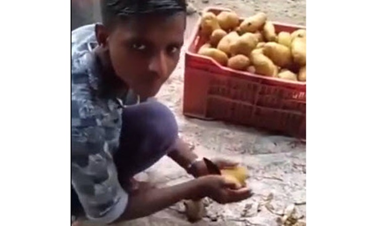 Young-Boy-cut-potatoes