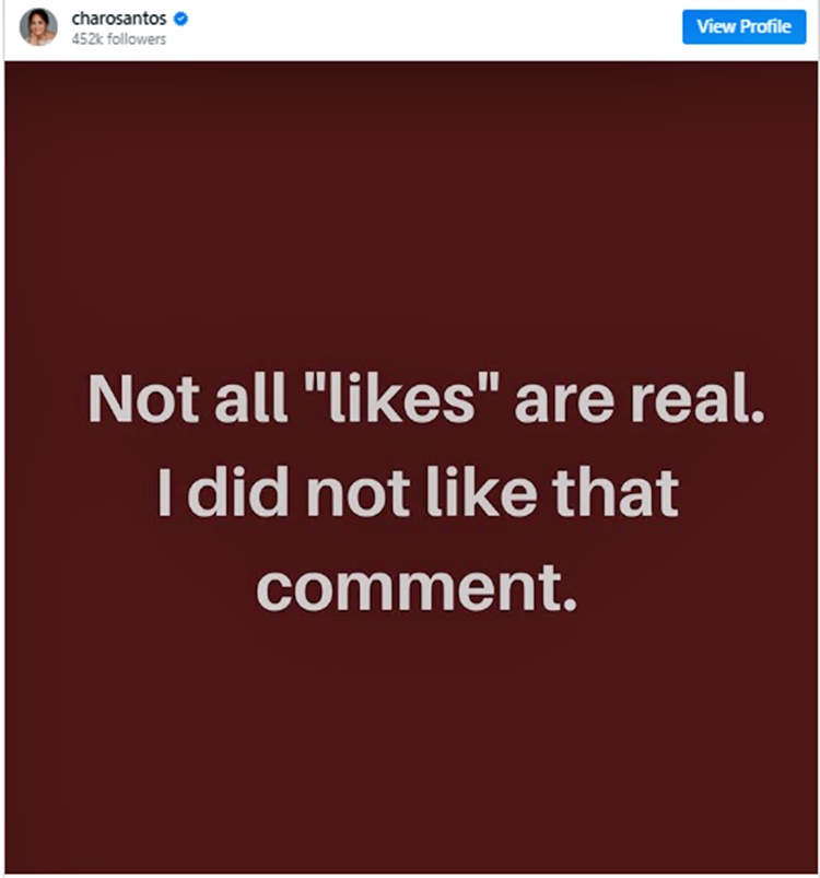charo santos post gerald-julia issue