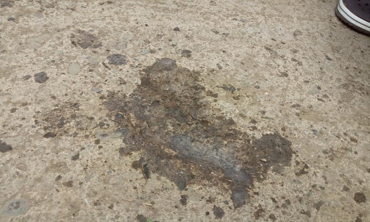 Residents-mysterious-footprints