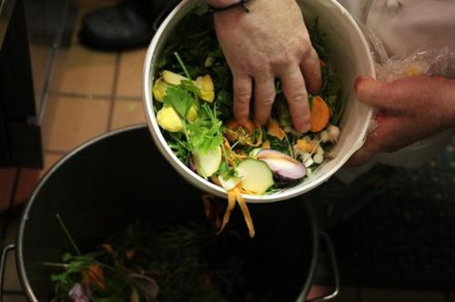 Slow Food Advocate
