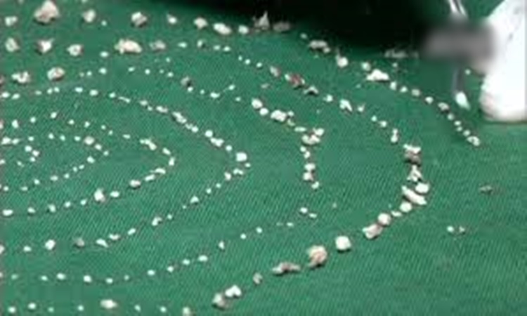 526-teeth