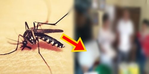 Barangay Captain Mariveles, Bataan 1