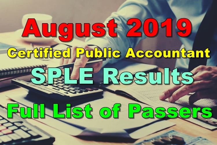 Certified Public Accountant