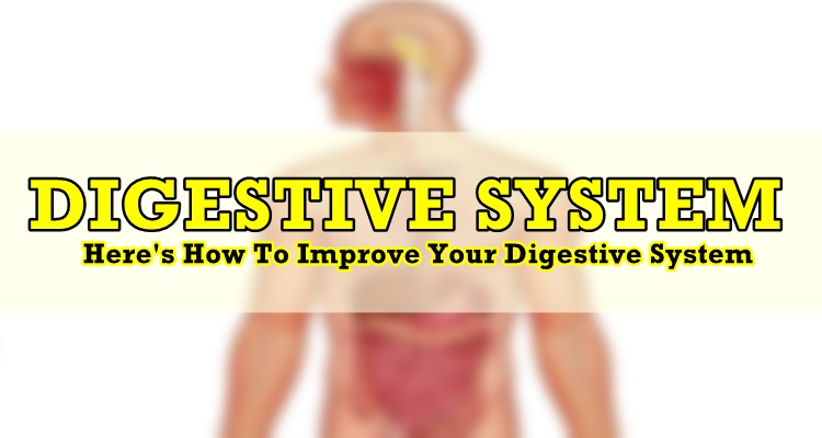 DIGESTIVE SYSTEM - Here's How To Improve Your Digestive System