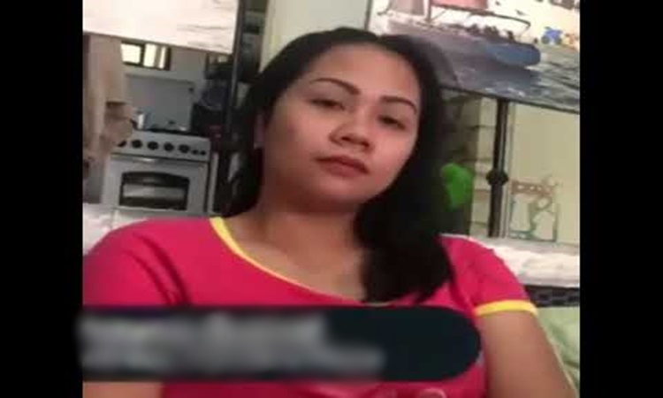 Janitress