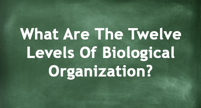 LEVELS OF BIOLOGICAL ORGANIZATION