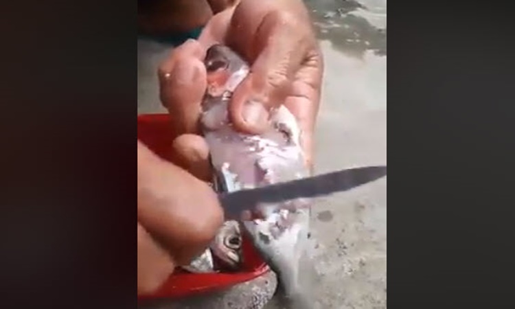 Man-lagidlid-plastic-skin