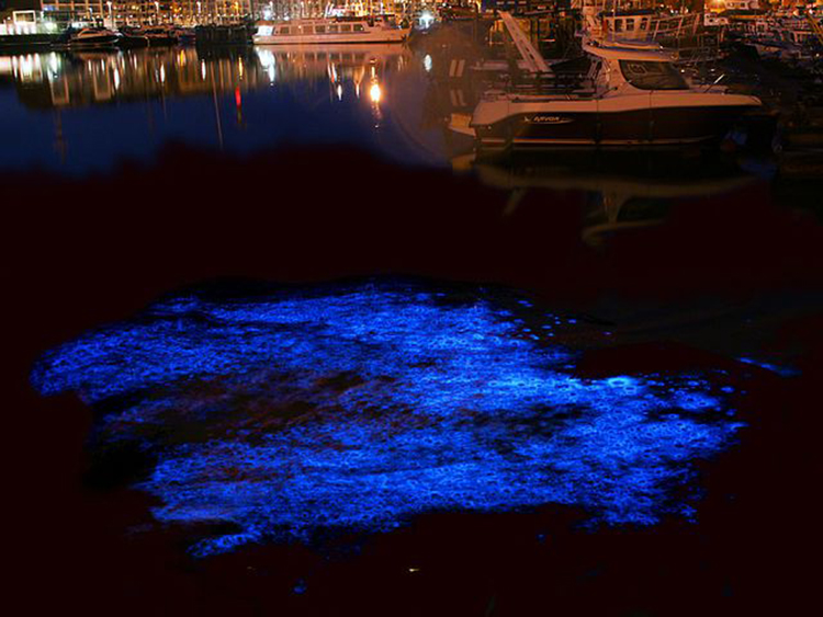 NATURAL PHENOMENA