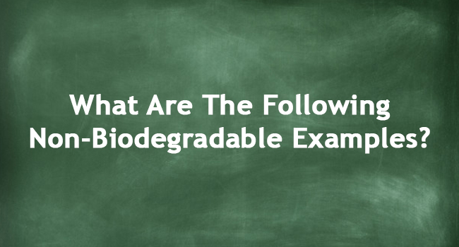 Non-Biodegradable Examples