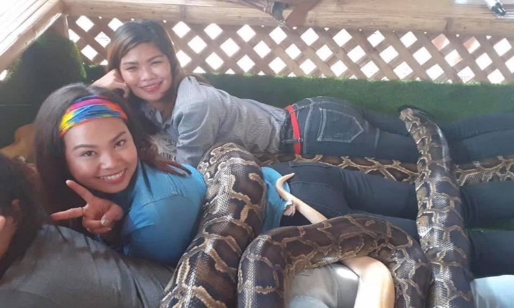Snake-Massage